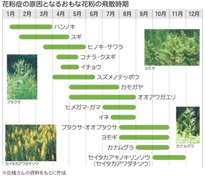 花粉表