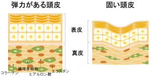 スクリーンショット (2)