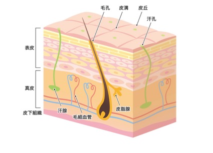 名称未設定